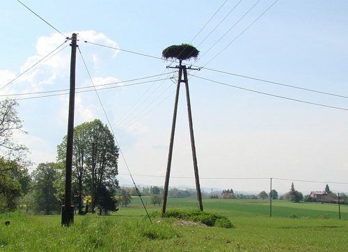 Debowiec, ul. Lesna 29 (V2010).JPG