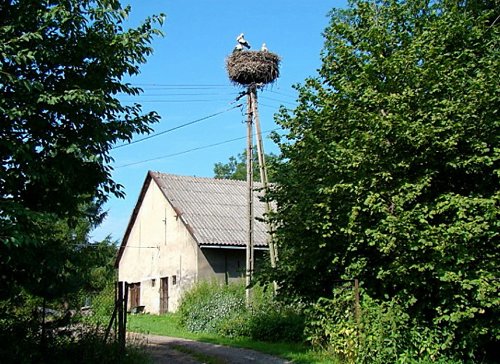 Debowiec, ul. Szkolna 21 (VII.2011).JPG