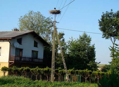Kiczyce, ul. Centralna 17, gm. Skoczw (VII.2011).JPG