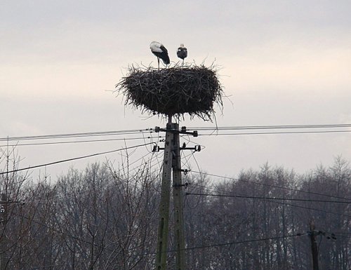 Ochaby, ul. Nad Mlynka 18, gm. Skoczw (III 2010).JPG