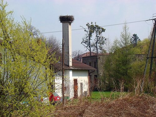 Zebrzydowice, ul. ks. Janusza (V 2011).JPG