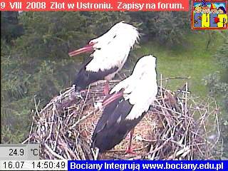 Snapshot08-07-16@14`50`492717.jpg